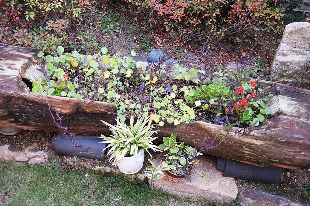 Yeonwoodang Guesthouse Jeonju Buitenkant foto